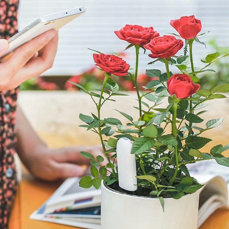 Xiaomi mijia、フラワーモニター、花、庭のケア、植 - Smart Garden Xiaomi のレビューと価格