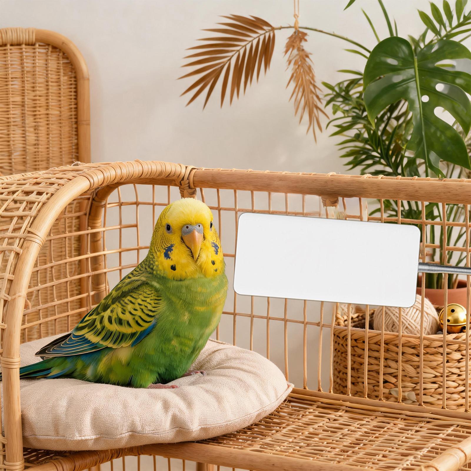 ペットヒーター 5V 安全ペット冬用暖房器具 スマートオウム - Smart Garden Bird Bath のレビューと価格