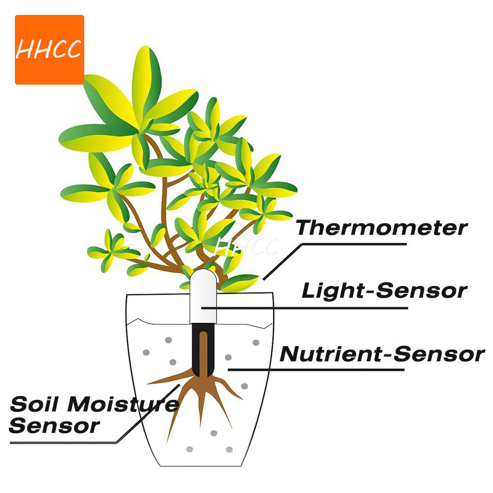HHCCフラワーケアスマートフラワーモニター、芝生、土壌、水 - Smart Garden Xiaomi のレビューと価格
